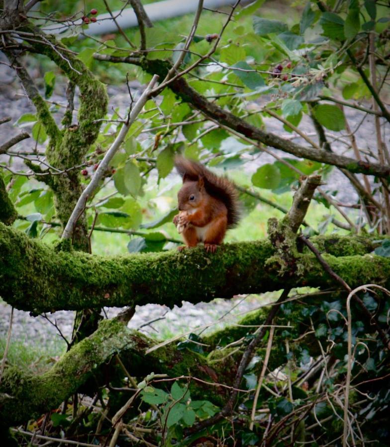 Cross Haw Cottage Sedbergh Kültér fotó